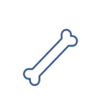 A simple blue outline of a dog bone, symbolizing Servicios Veterinarios, is centered on a light gray background.