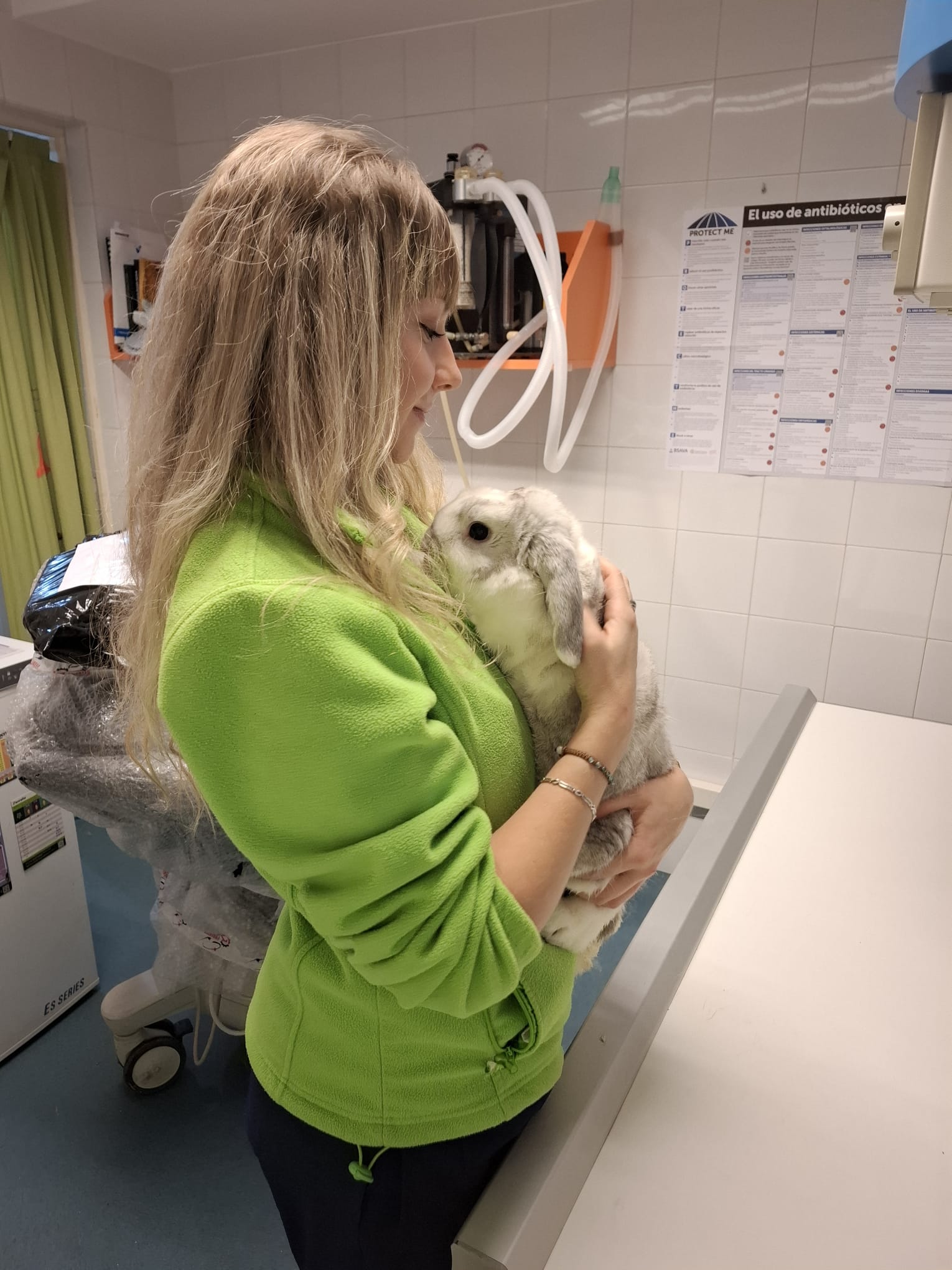 Veterinario Logroño