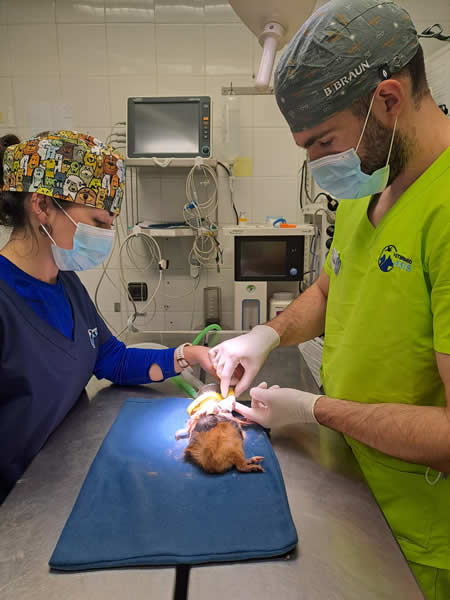Veterinario Exoticos Logroño