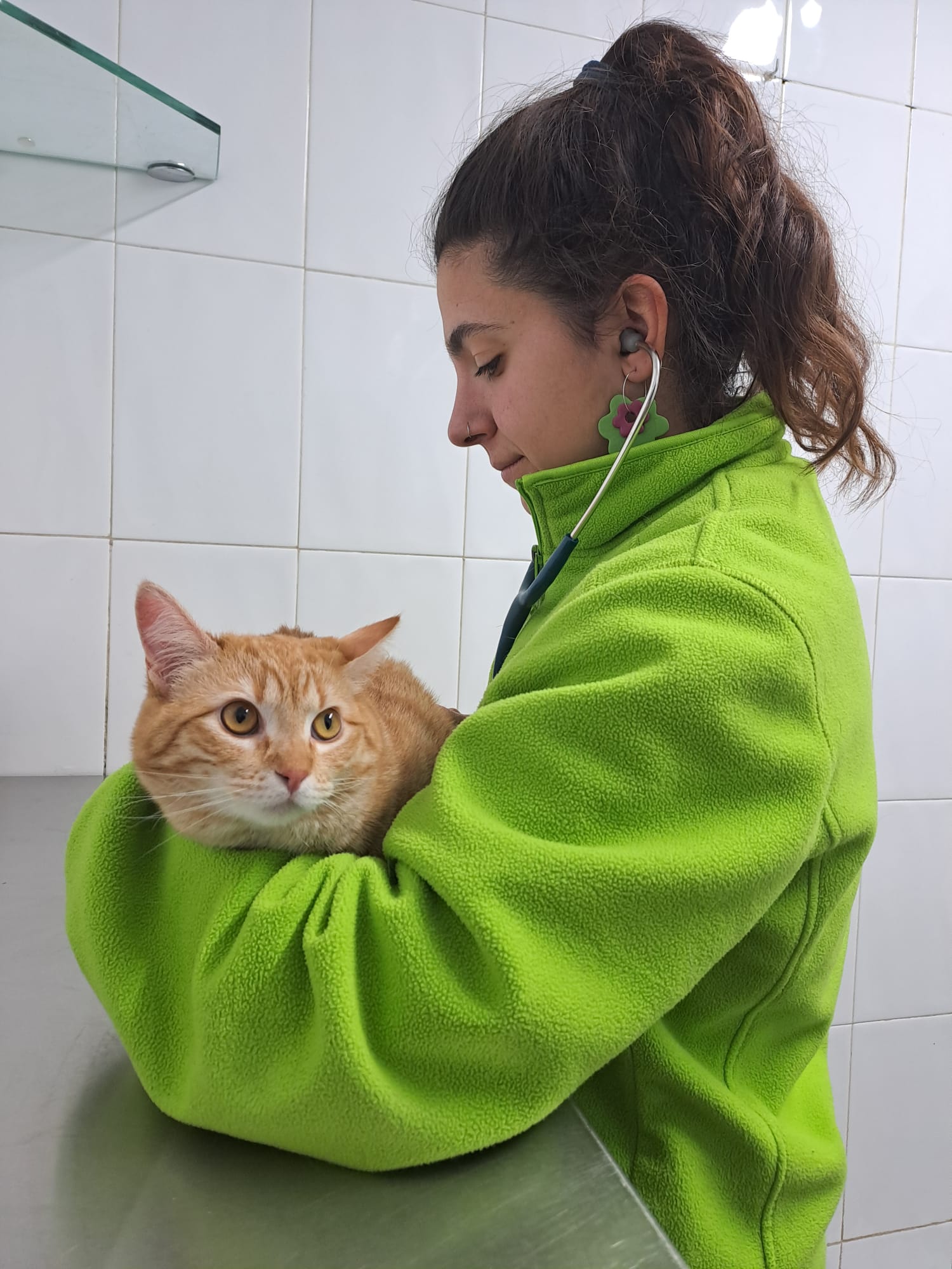 Clinica Veterinaria en Logroño La Rioja