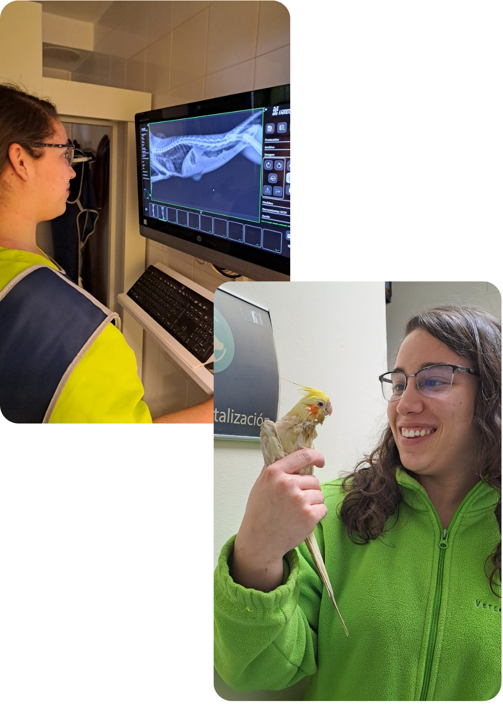 clinica-veterinaria-logrono-la-rioja